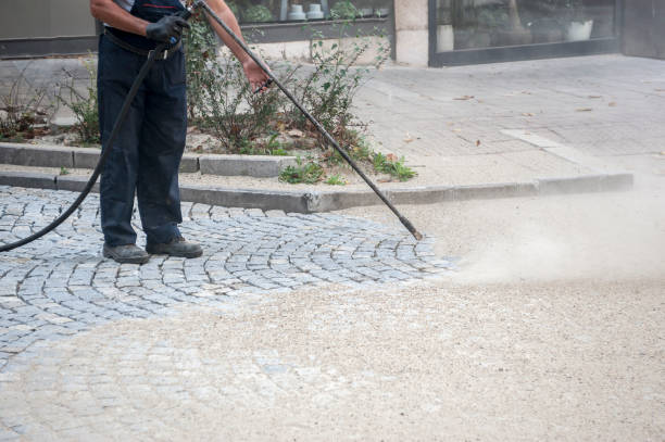 Best Spring Cleaning  in North Palm Beach, FL